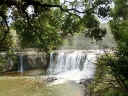 whangarei (28)